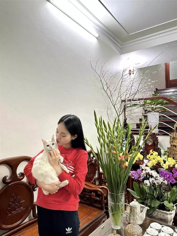 Tết của hai Á hậu Việt Nam 2022: Trịnh Thùy Linh để lộ cơ ngơi hoành tráng, Ngọc Hằng gây mất điểm vì chi tiết này