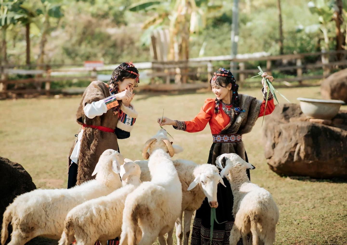 Check-in sống ảo tại Happy Farm - du lịch Mộc Châu